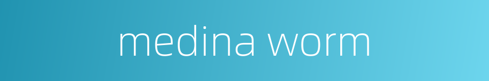 medina worm的同义词
