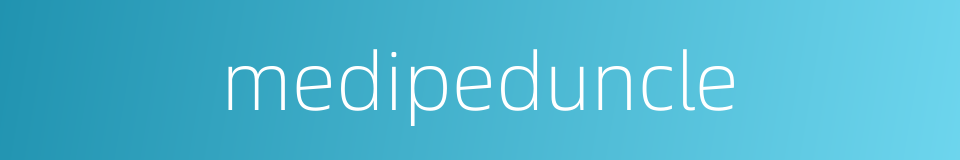 medipeduncle的同义词