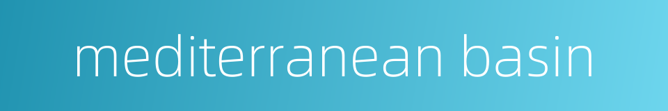 mediterranean basin的同义词