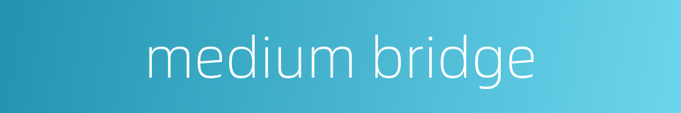 medium bridge的同义词