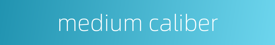 medium caliber的同义词