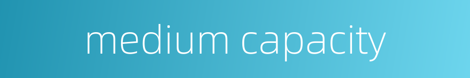 medium capacity的同义词