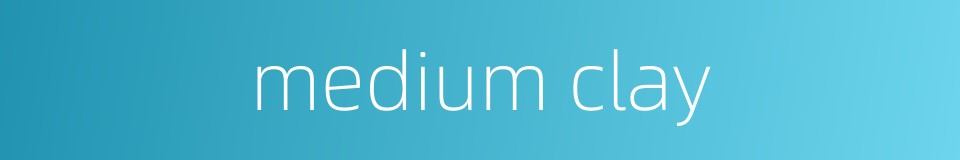 medium clay的同义词