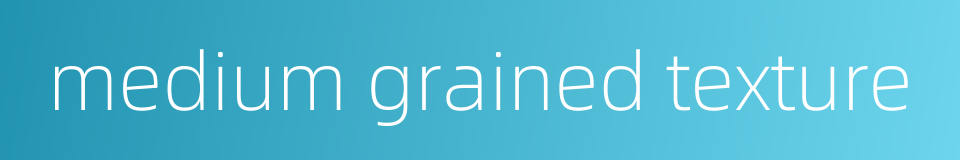 medium grained texture的同义词