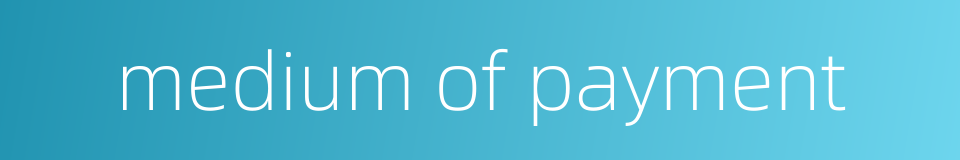 medium of payment的同义词