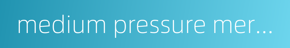 medium pressure mercury lamp的同义词