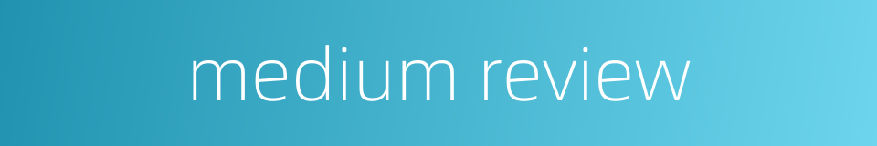 medium review的同义词