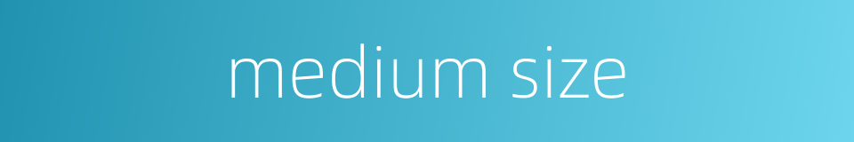 medium size的同义词