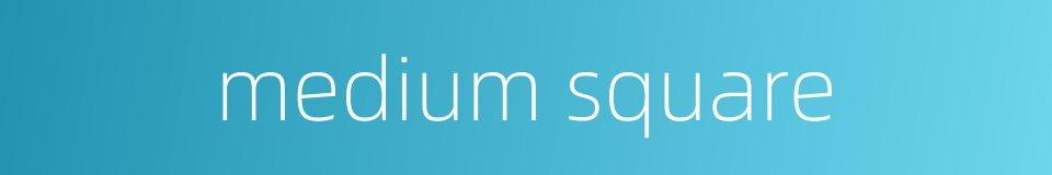 medium square的同义词