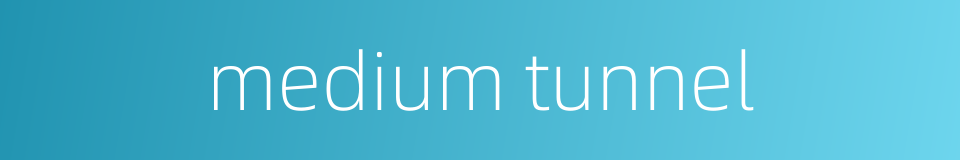 medium tunnel的同义词