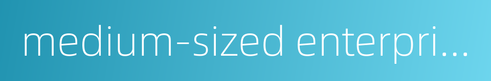 medium-sized enterprise的同义词