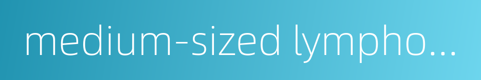 medium-sized lymphocyte的同义词