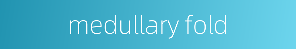 medullary fold的同义词