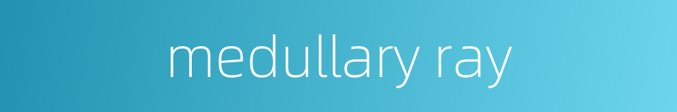 medullary ray的同义词