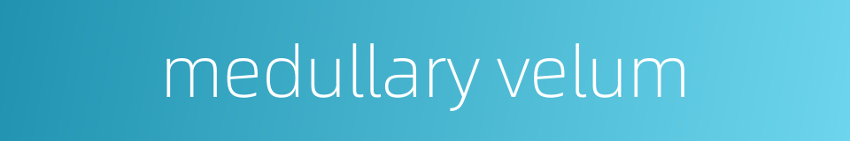 medullary velum的同义词
