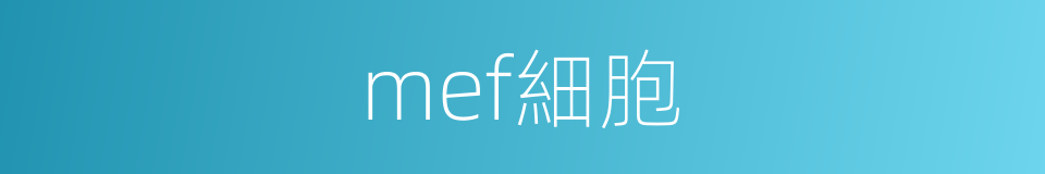 mef細胞的同義詞