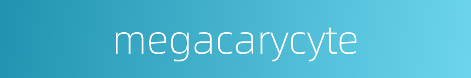 megacarycyte的同义词