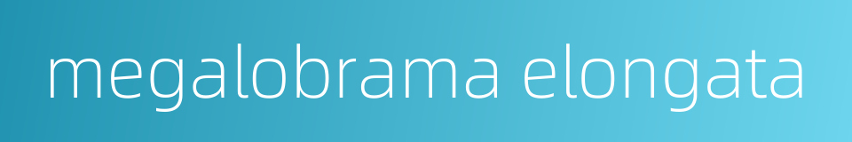 megalobrama elongata的同义词