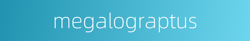 megalograptus的同义词
