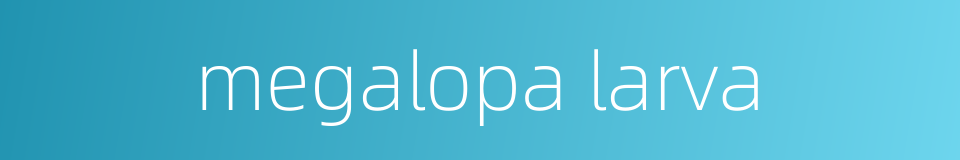 megalopa larva的同义词