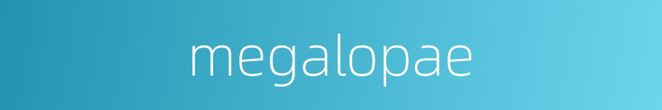 megalopae的同义词