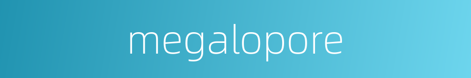 megalopore的同义词