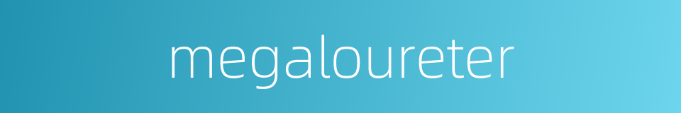 megaloureter的同义词