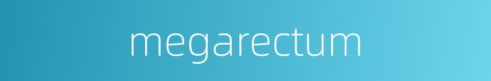 megarectum的同义词