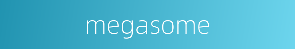 megasome的同义词