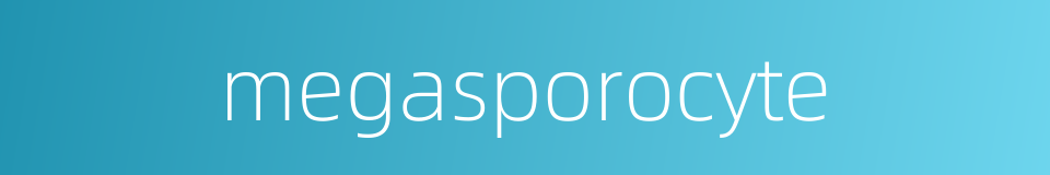megasporocyte的同义词