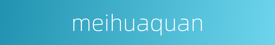 meihuaquan的同义词