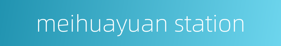 meihuayuan station的同义词