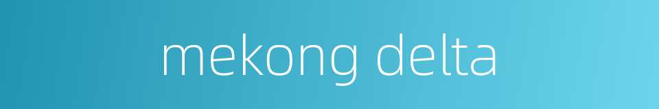 mekong delta的同义词