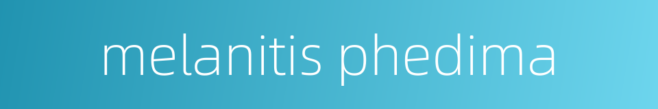melanitis phedima的同义词