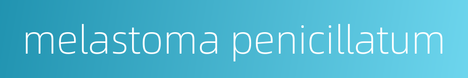 melastoma penicillatum的同义词