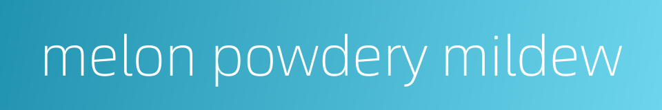 melon powdery mildew的同义词
