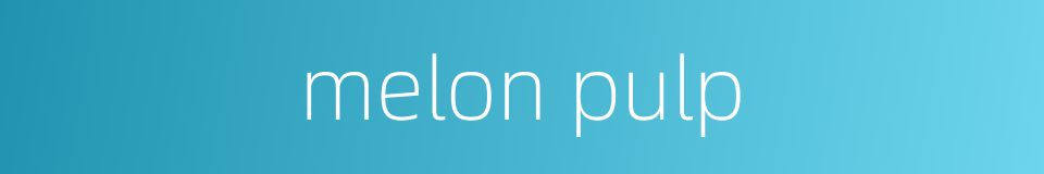 melon pulp的同义词