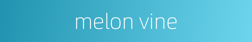 melon vine的同义词