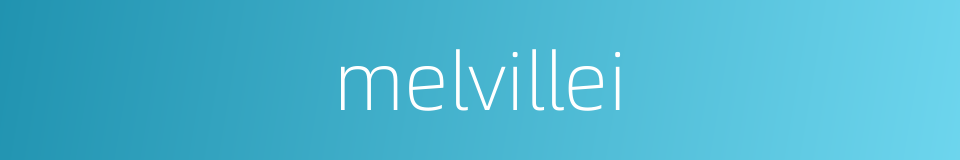 melvillei的同义词