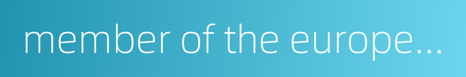 member of the european parliament的同义词