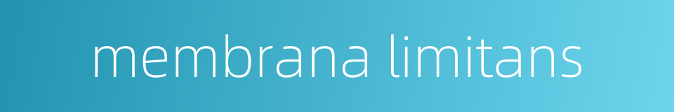 membrana limitans的同义词