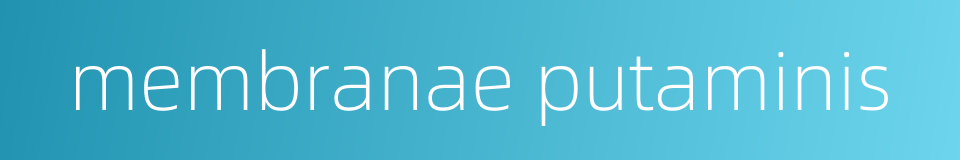 membranae putaminis的同义词
