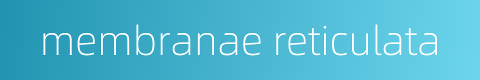 membranae reticulata的同义词