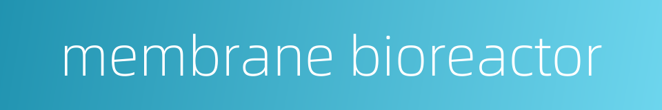 membrane bioreactor的同义词