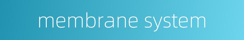 membrane system的同义词