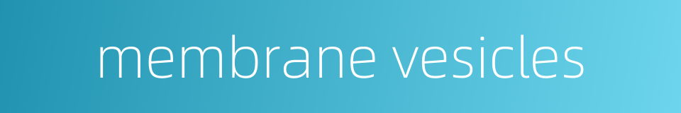 membrane vesicles的同义词