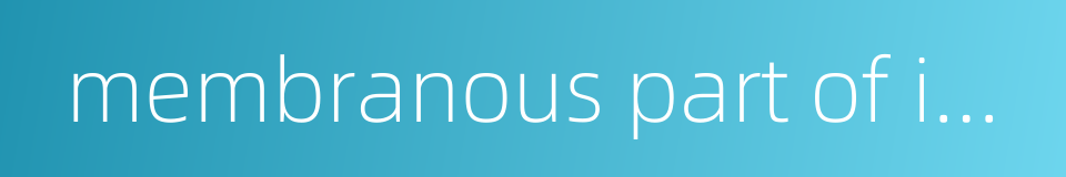 membranous part of interventricular septum的同义词