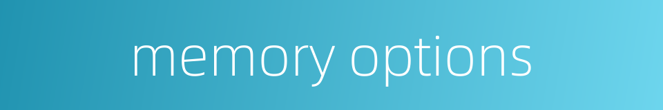 memory options的同义词
