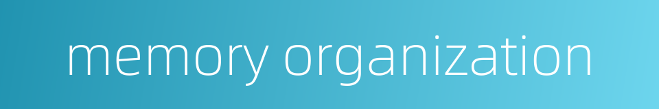 memory organization的同义词
