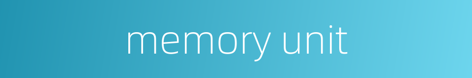 memory unit的同义词